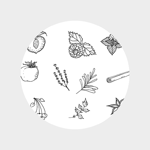 fruits and herbs label illustrations