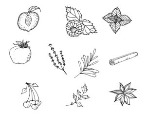 fruits and herbs label illustrations